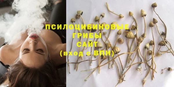 метамфетамин Аркадак