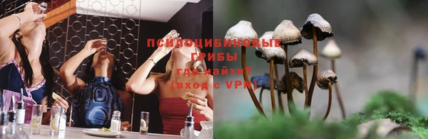марки nbome Арсеньев