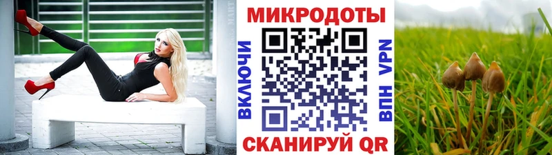 Псилоцибиновые грибы Magic Shrooms  Сольцы 