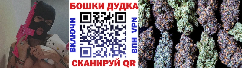Бошки марихуана Amnesia Сольцы