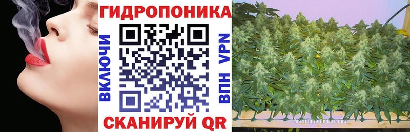 что такое наркотик  МЕГА ССЫЛКА  Конопля Ganja  Сольцы 